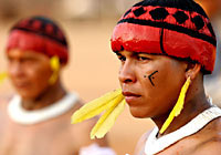 Xingu Pintura de Cara 
