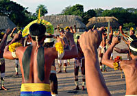 Indgena Xingun Ritual Amaznica 