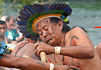 Xingu Cacique or Chief